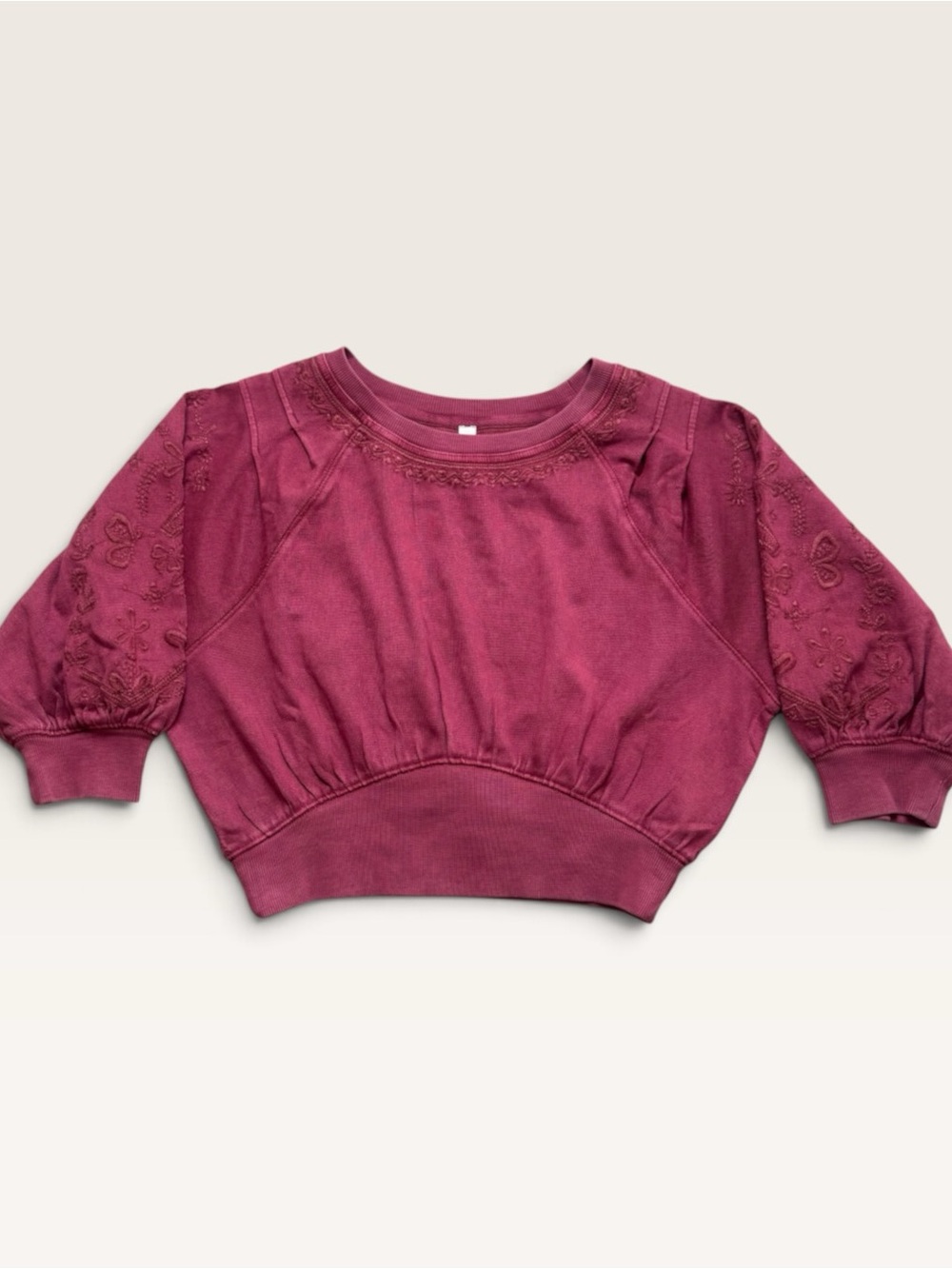 Free People Feeling Special Pullover Pink Embroidered Cropped Sweatshirt S NWT